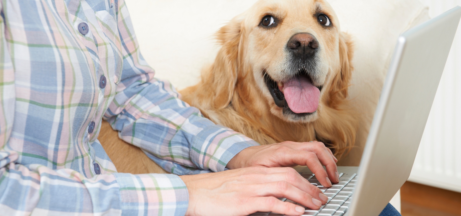 Woman and dog in front of computer laptop