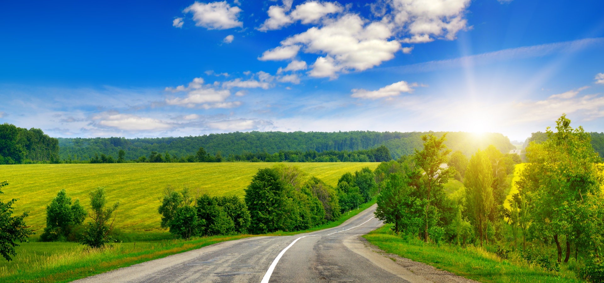 Road with trees, grass and sky
